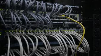 網(wǎng)絡工程 構(gòu)建數(shù)字世界的橋梁